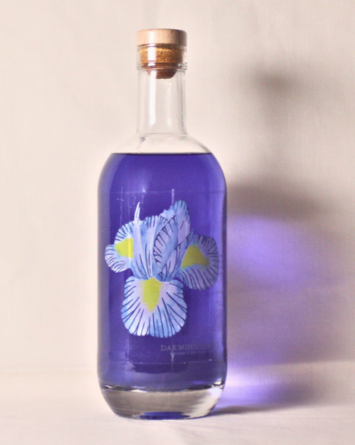 Picture of Darwin's Secret - Butterfly Pea Flower Gin 750ml